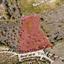 land for sale kathikas paphos 8531989 thumbnail 16277422