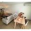 2 bedroom apartment for sale strovolos nicosia 8946099 thumbnail 17698998