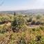 land for sale kathikas paphos 1154099 thumbnail 1594595