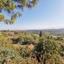 land for sale kathikas paphos 1154099 thumbnail 1594596