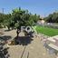 4 bedroom detached house for rent moni limassol 8936199 thumbnail 17736896