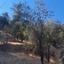 land for sale agios georgios kafkallou nicosia 1674199 thumbnail 15596842