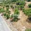 land for sale anavargos paphos 7813199 thumbnail 12705068