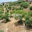 land for sale anavargos paphos 7813199 thumbnail 12705072