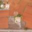 land for sale liopetri famagusta 7966199 thumbnail 11456035