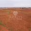 land for sale liopetri famagusta 7966199 thumbnail 11456036
