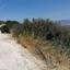 land for sale theletra paphos 8711199 thumbnail 16277433