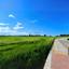 plot for sale kato lakatamia nicosia 1391199 thumbnail 5824726