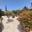 3 bedroom bungalow for sale chlorakas paphos 8665299 thumbnail 17680909