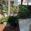 3 bedroom detached house for sale dekeleia larnaca 1624399 thumbnail 5668533