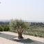 4 bedroom detached house for sale sea caves peyia paphos 1024399 thumbnail 1062182