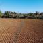land for sale xylofagou larnaca 1614399 thumbnail 17187549