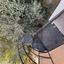 2 bedroom apartment for rent dasoupoli nicosia 8083499 thumbnail 15142869