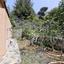 3 bedroom detached house for sale kato platres limassol 7736499 thumbnail 14508800