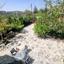 3 bedroom detached house for sale kato platres limassol 7736499 thumbnail 14508824