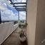3 bedroom detached house for sale peyia paphos 8322499 thumbnail 16978421
