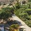 3 bedroom detached house for sale peyia paphos 8395599 thumbnail 17851955