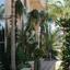 4 bedroom detached house for sale kalogiroi limassol 1892599 thumbnail 7648967