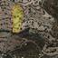 land for sale paramytha limassol 1316599 thumbnail 2414778