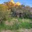 plot for sale makedonitissa nicosia 1037599 thumbnail 17437408