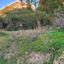 plot for sale makedonitissa nicosia 1037599 thumbnail 17437409