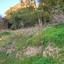plot for sale makedonitissa nicosia 1037599 thumbnail 17437410