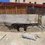 2 bedroom apartment for sale faneromeni larnaca 8145699 thumbnail 16928991