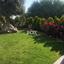5 bedroom detached house for rent paphos municipality paphos 8710699 thumbnail 16268591