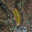 land for sale ypsonas limassol 1713699 thumbnail 4551832
