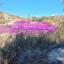 874 SQM Plot for sale in Simou, Paphos thumbnail 16469706