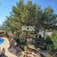 4 bedroom detached house for sale tala paphos 1158899 thumbnail 14826797