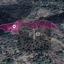 land for sale kaminaria limassol 8274899 thumbnail 15156208