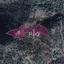 land for sale kaminaria limassol 8274899 thumbnail 15156210