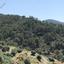land for sale vavatsinia larnaca 945899 thumbnail 14933107