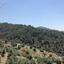 land for sale vavatsinia larnaca 945899 thumbnail 14933111