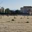 plot for sale coral bay paphos 1684899 thumbnail 4406945