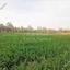 plot for sale dali nicosia 1152899 thumbnail 5163439