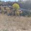 plot for sale simou paphos 8748899 thumbnail 16469702
