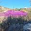 plot for sale simou paphos 8748899 thumbnail 16469705
