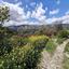 land for sale laneia limassol 8560999 thumbnail 15593722